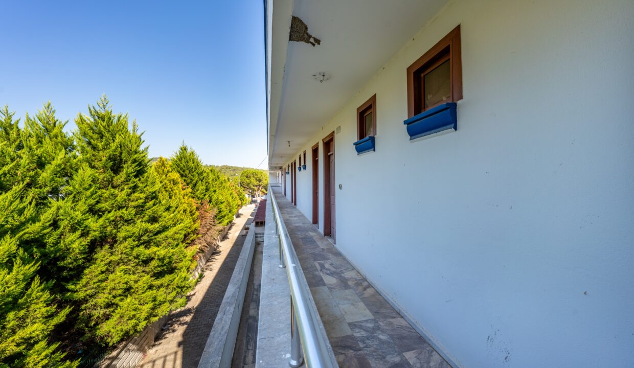 sarıgerme_26