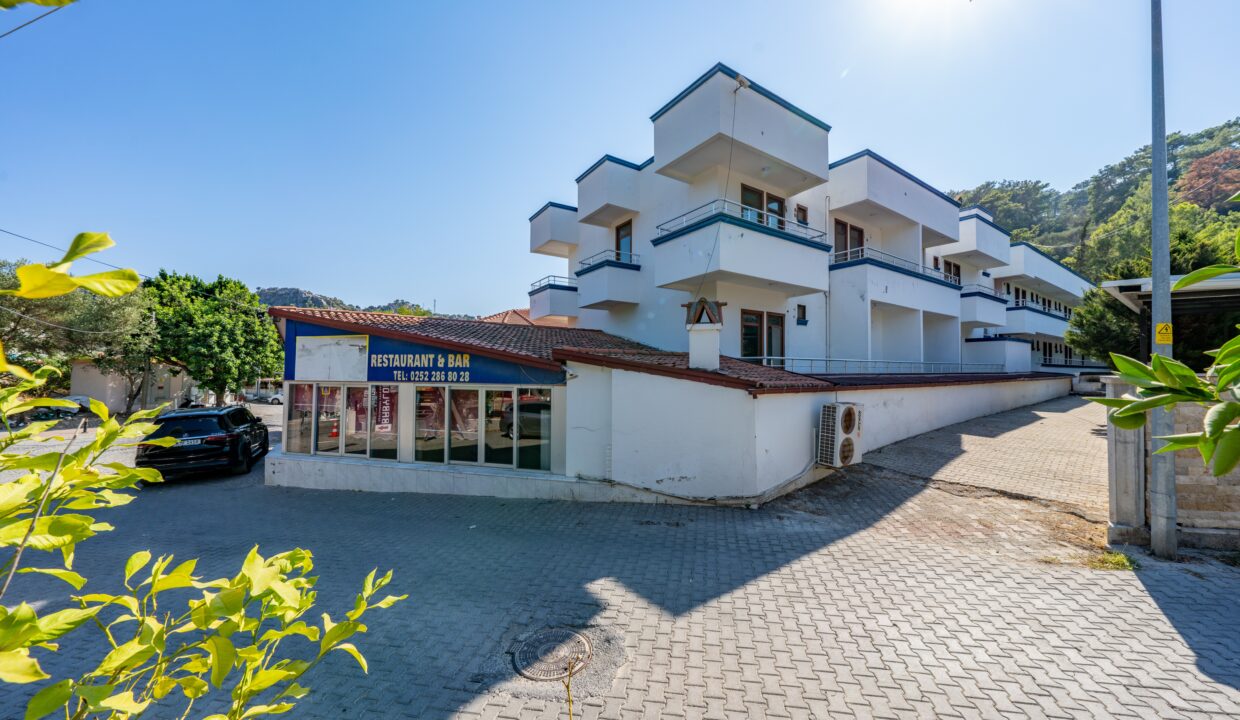 sarıgerme_40