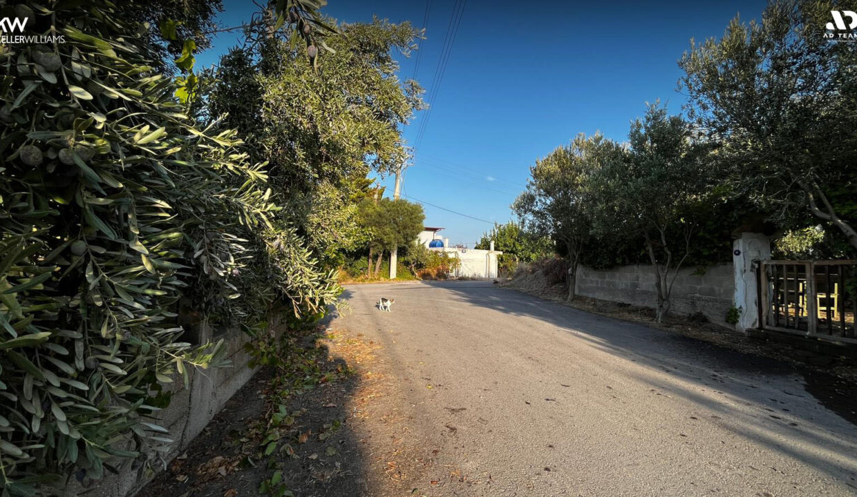 1 (2)